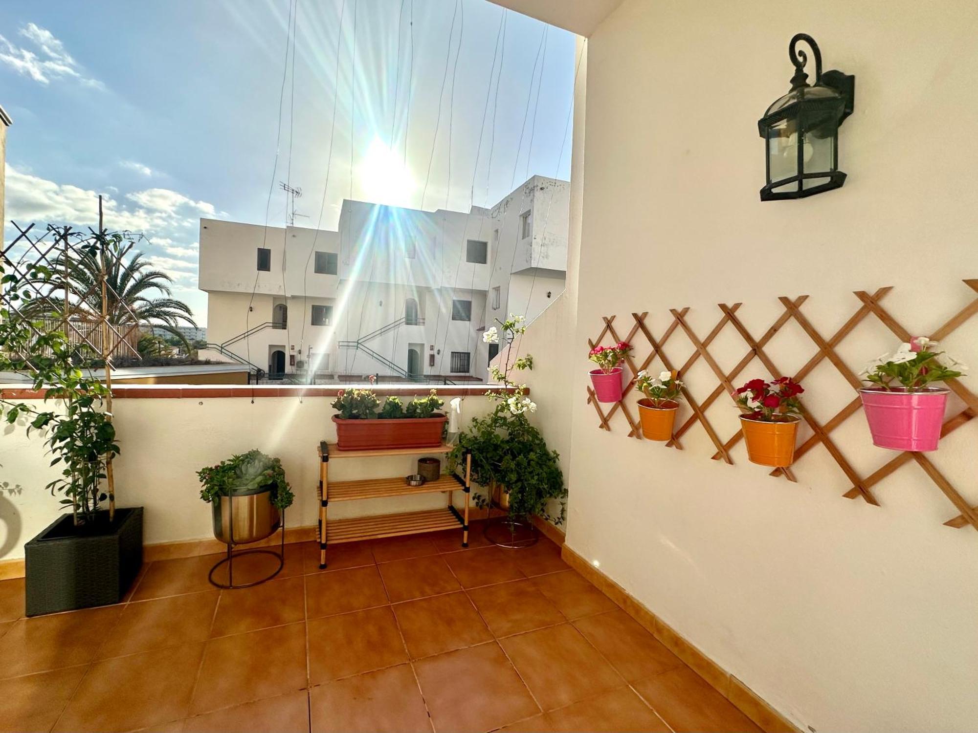 In Ocean Park Ii, Costa Adeje, Tenerife Appartement